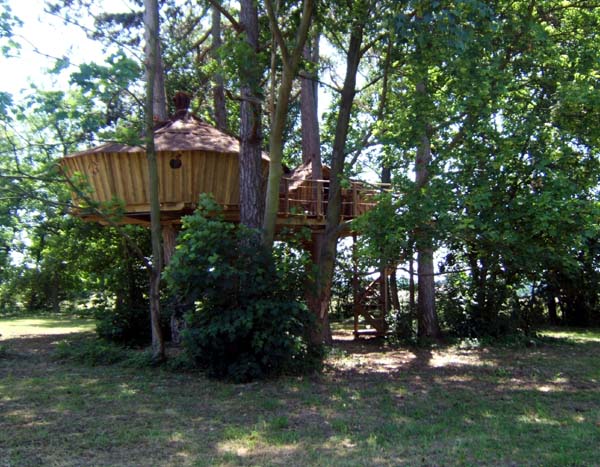 Domaine de Poiseuil Burgunder - Viré visuel 6/7 Domaine de Poiseuil Burgunder - Viré visuel 6/7