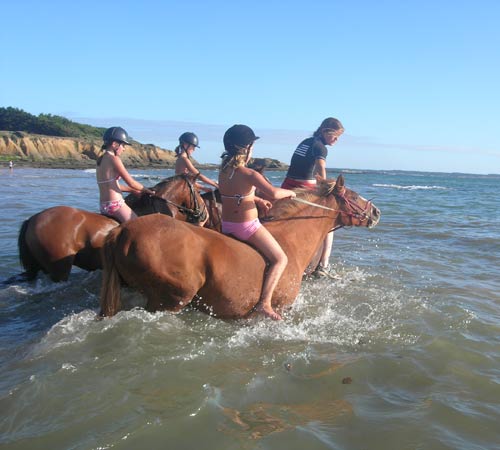 Domaine de Pont-Mahé Das Loire-Gebiet - Assérac visuel 6/10