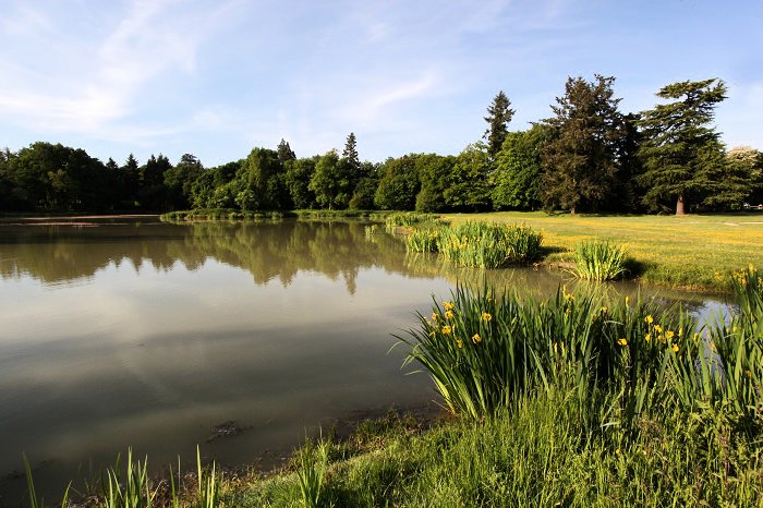 Domaine de Seillac Großes Zentrum - Seillac visuel 2/10 Domaine de Seillac Großes Zentrum - Seillac visuel 2/10