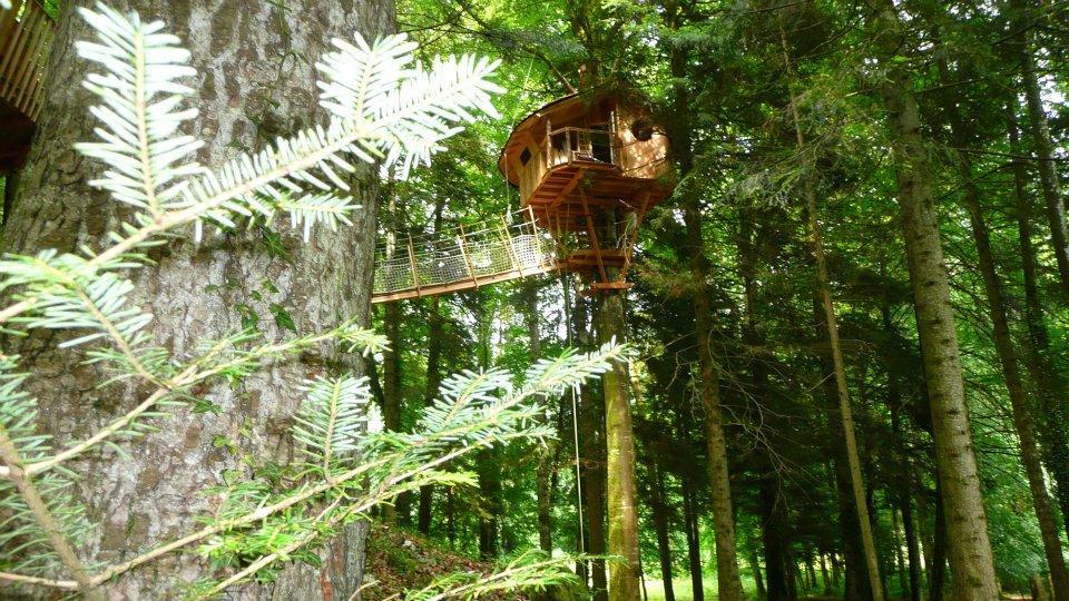 Domaine de Syam Franche-Comté - Syam visuel 16/19 Domaine de Syam Franche-Comté - Syam visuel 16/19