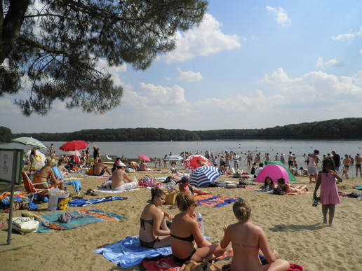 Domaine de Trémelin Bretagne - Iffendic visuel 1/10 Domaine de Trémelin Bretagne - Iffendic visuel 1/10