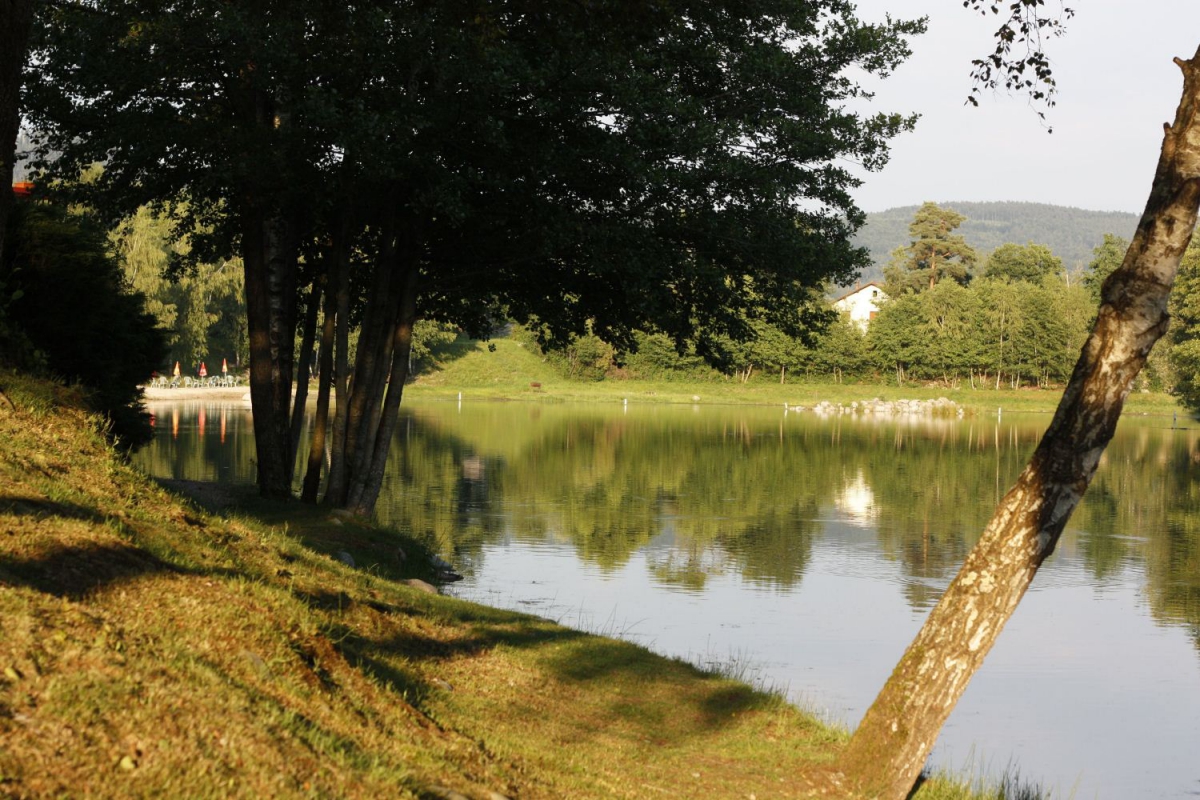 Domaine des Messires Lothringen - Herpelmont visuel 5/8