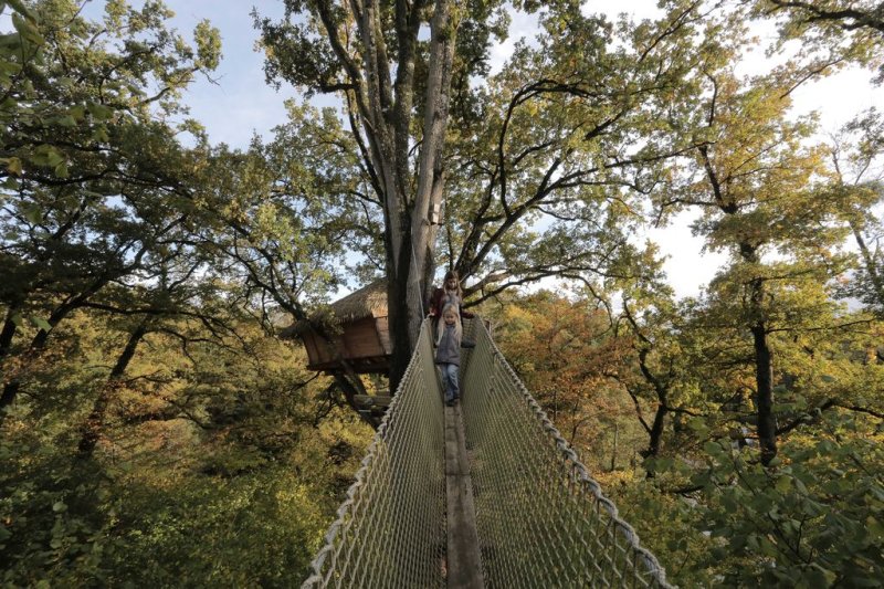 Domaine des Vaulx Das Loire-Gebiet - La Baconnière visuel 12/16