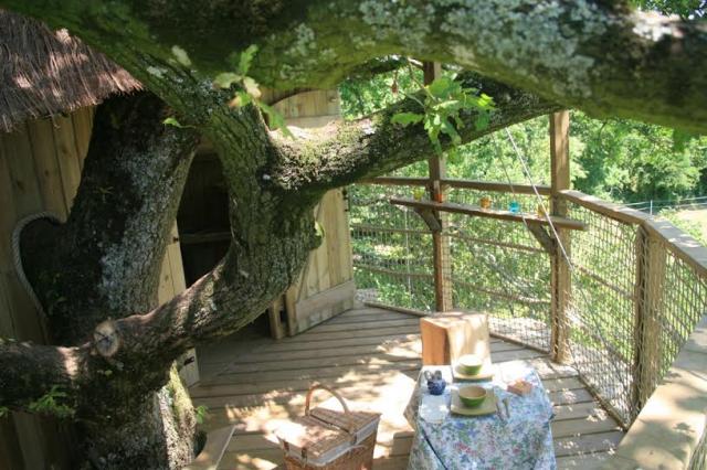 Domaine des Vaulx Das Loire-Gebiet - La Baconnière visuel 7/16