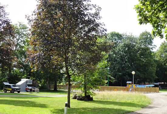 Domaine du Buisson Champagner-Ardennen - Louvemont visuel 2/10 Domaine du Buisson Champagner-Ardennen - Louvemont visuel 2/10