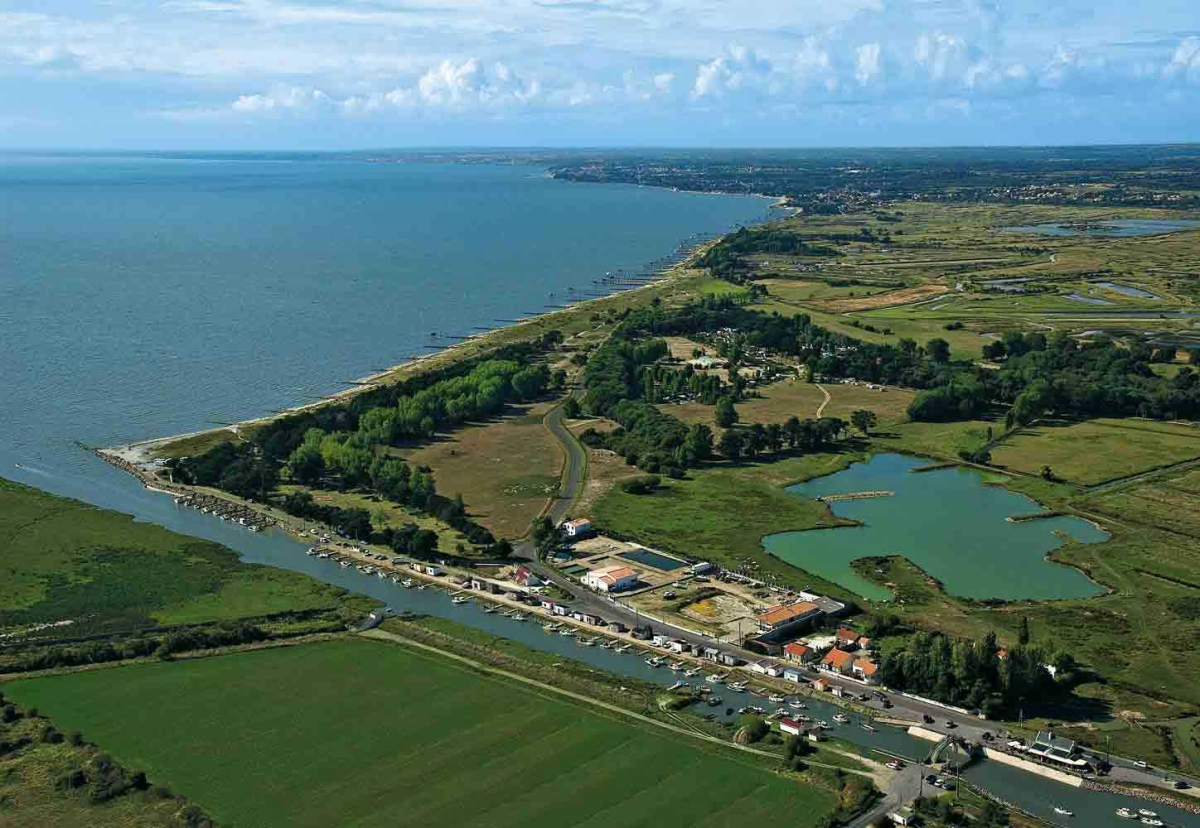 Domaine du Collet Das Loire-Gebiet - Les Moutiers en Retz visuel 12/15