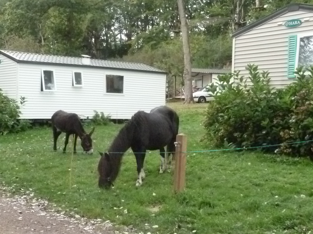 Domaine du Roc Bretagne - Le Roc-Saint-André visuel 7/9