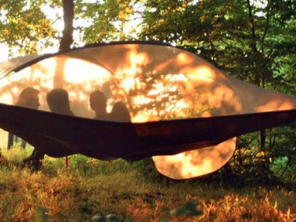 Domaine Gardelle Aquitanien - Laussou visuel 6/6 Domaine Gardelle Aquitanien - Laussou visuel 6/6