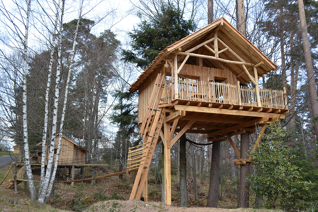 Domaine Hauts de Ribeauvillé Elsass - Aubure visuel 1/10 Domaine Hauts de Ribeauvillé Elsass - Aubure visuel 1/10