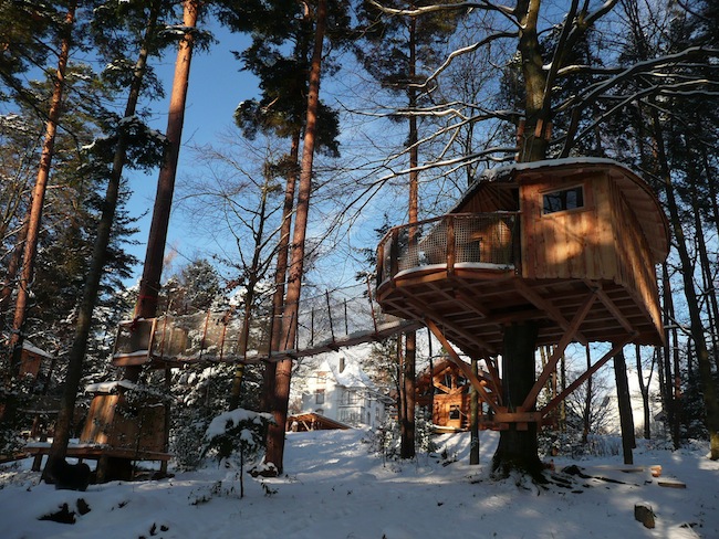 Domaine Hauts de Ribeauvillé Elsass - Aubure visuel 4/10 Domaine Hauts de Ribeauvillé Elsass - Aubure visuel 4/10