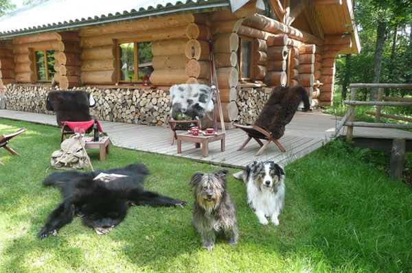 Domaine Hauts de Ribeauvillé Elsass - Aubure visuel 8/10 Domaine Hauts de Ribeauvillé Elsass - Aubure visuel 8/10