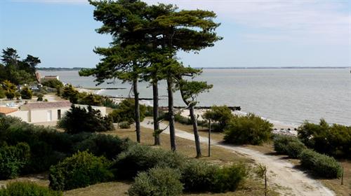 La Plage Das Loire-Gebiet - Les Moutiers en Retz visuel 4/10