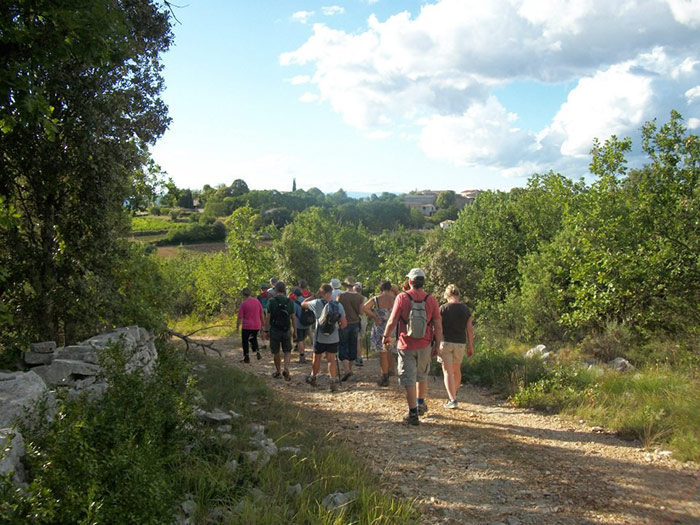 Domaine le Clos des Capitelles Languedoc-Roussillon - Saint-Privat-de-Champclos visuel 3/11