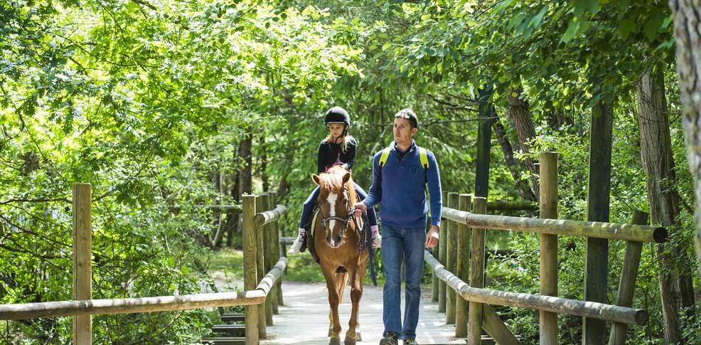 Domaine Les Hauts de Bruyères Großes Zentrum - Chaumont-sur-Tharonne visuel 6/10 Domaine Les Hauts de Bruyères Großes Zentrum - Chaumont-sur-Tharonne visuel 6/10