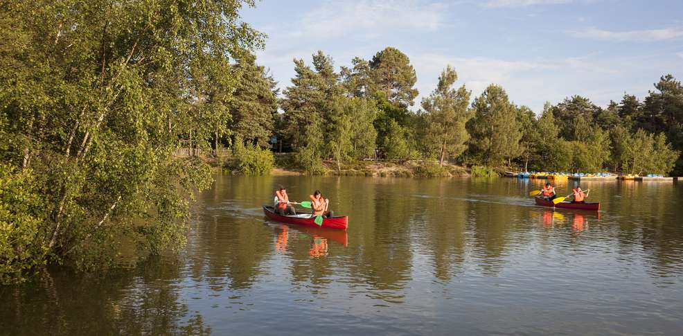 Domaine Les Hauts de Bruyères Großes Zentrum - Chaumont-sur-Tharonne visuel 8/10 Domaine Les Hauts de Bruyères Großes Zentrum - Chaumont-sur-Tharonne visuel 8/10