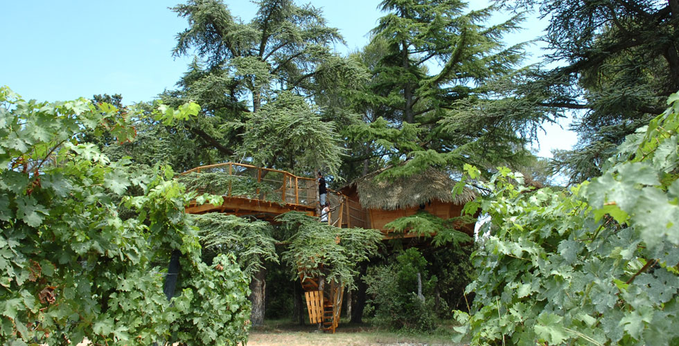 Domaine Saint Jean de l'Arbousier Languedoc-Roussillon - Castries visuel 2/11 Domaine Saint Jean de l'Arbousier Languedoc-Roussillon - Castries visuel 2/11