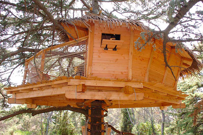 Domaine Saint Jean de l'Arbousier Languedoc-Roussillon - Castries visuel 4/11 Domaine Saint Jean de l'Arbousier Languedoc-Roussillon - Castries visuel 4/11