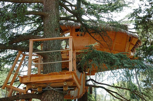 Domaine Saint Jean de l'Arbousier Languedoc-Roussillon - Castries visuel 5/11 Domaine Saint Jean de l'Arbousier Languedoc-Roussillon - Castries visuel 5/11