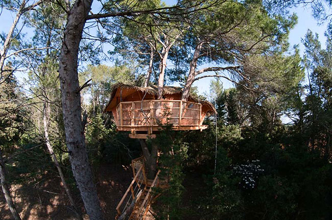 Domaine Saint Jean de l'Arbousier Languedoc-Roussillon - Castries visuel 6/11 Domaine Saint Jean de l'Arbousier Languedoc-Roussillon - Castries visuel 6/11