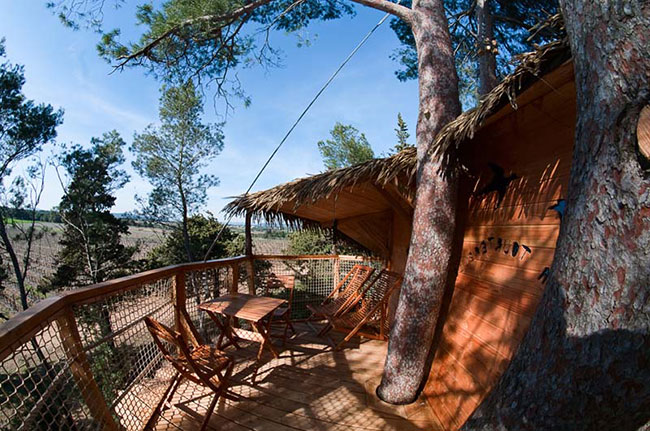 Domaine Saint Jean de l'Arbousier Languedoc-Roussillon - Castries visuel 7/11 Domaine Saint Jean de l'Arbousier Languedoc-Roussillon - Castries visuel 7/11