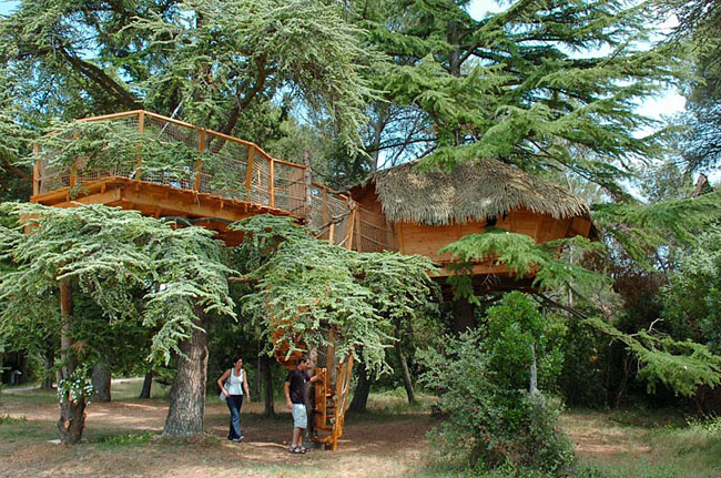 Domaine Saint Jean de l'Arbousier Languedoc-Roussillon - Castries visuel 8/11 Domaine Saint Jean de l'Arbousier Languedoc-Roussillon - Castries visuel 8/11