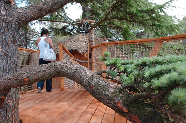 Domaine Saint Jean de l'Arbousier Languedoc-Roussillon - Castries visuel 9/11 Domaine Saint Jean de l'Arbousier Languedoc-Roussillon - Castries visuel 9/11