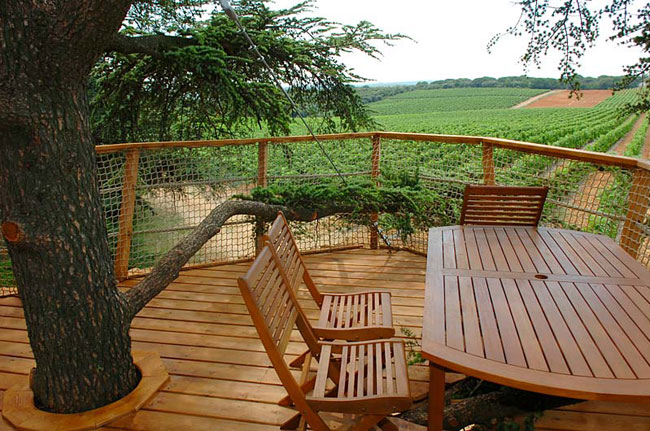 Domaine Saint Jean de l'Arbousier Languedoc-Roussillon - Castries visuel 10/11 Domaine Saint Jean de l'Arbousier Languedoc-Roussillon - Castries visuel 10/11