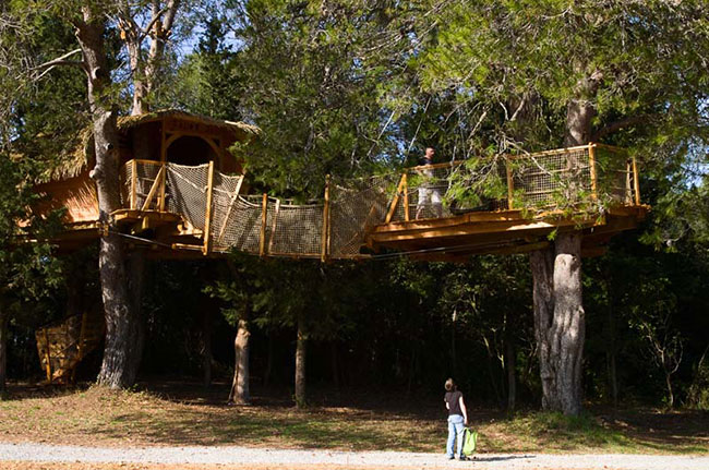 Domaine Saint Jean de l'Arbousier Languedoc-Roussillon - Castries visuel 11/11 Domaine Saint Jean de l'Arbousier Languedoc-Roussillon - Castries visuel 11/11