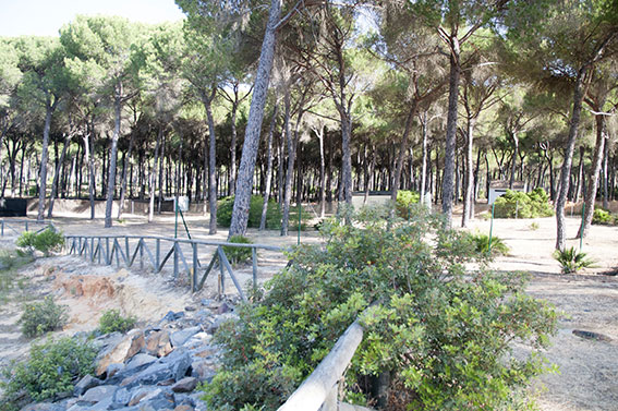 Doñarrayan Park Andalusien - Hinojos visuel 1/4