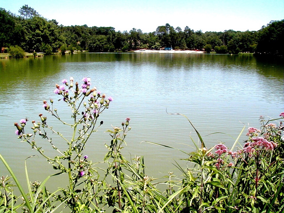 Camping du Lac de Neufont Aquitanien - Saint-Amand-de-Vergt visuel 4/7 Camping du Lac de Neufont Aquitanien - Saint-Amand-de-Vergt visuel 4/7