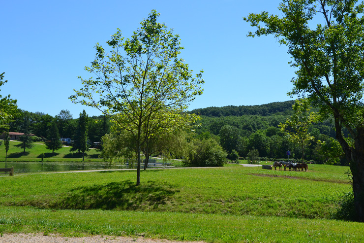 Camping du Lac de Parisot Midi-Pyrénées - Parisot visuel 5/6 Camping du Lac de Parisot Midi-Pyrénées - Parisot visuel 5/6