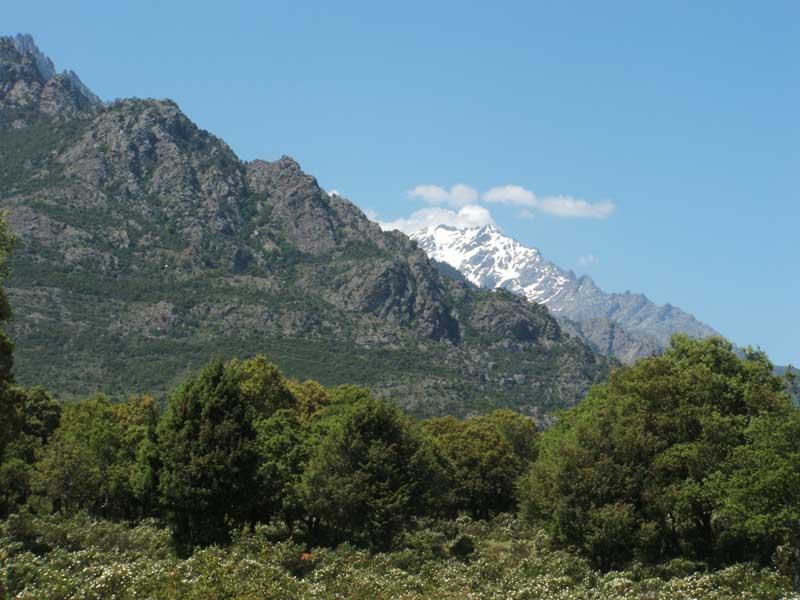 E Canicce Korsika - Moltifao visuel 5/12