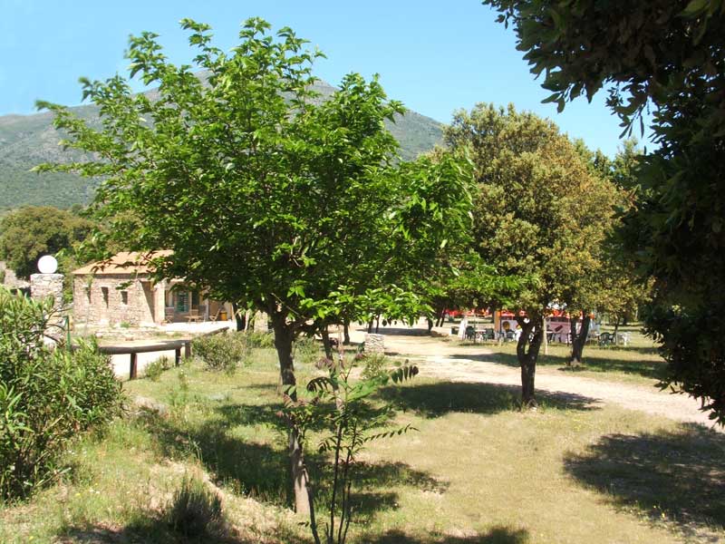 E Canicce Korsika - Moltifao visuel 6/12