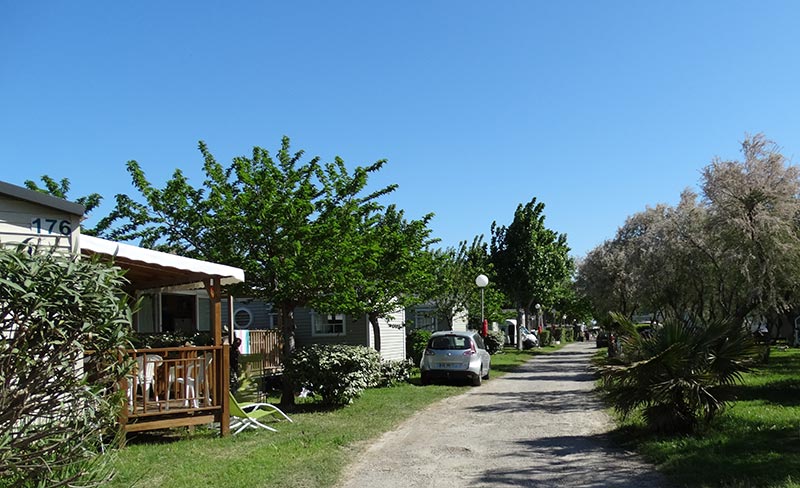 Eden Camping Languedoc-Roussillon - Lattes visuel 11/11