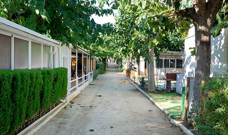 El Toro Azul Costa Brava - Arenys de Mar visuel 4/8