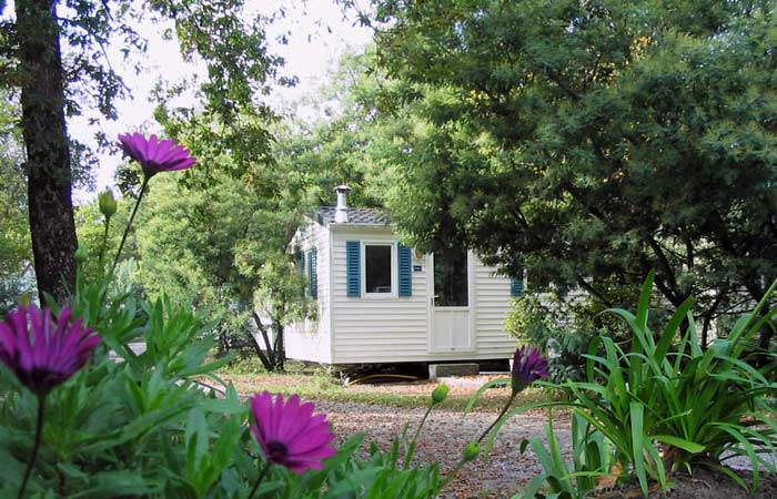 Espace Blue Océan Aquitanien - Ondres visuel 27/30