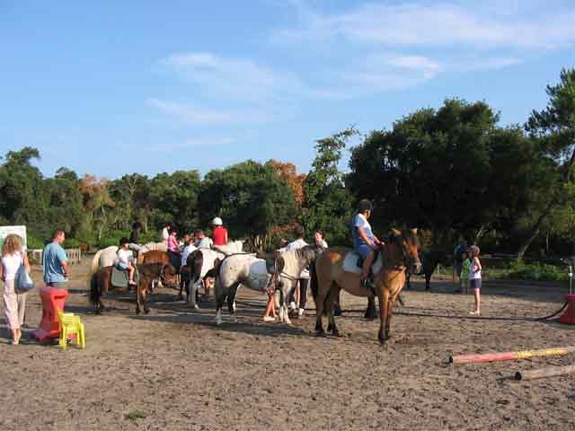 Espace Blue Océan Aquitanien - Ondres visuel 21/30