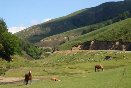 Europ'Camping Aquitanien - Ascarat visuel 14/14 Europ'Camping Aquitanien - Ascarat visuel 14/14