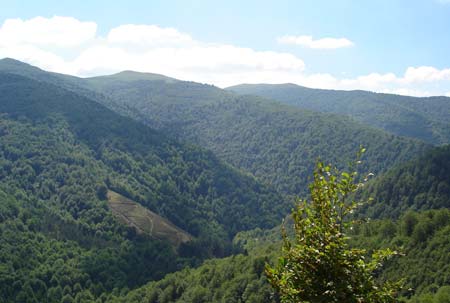 Europ'Camping Aquitanien - Ascarat visuel 9/14 Europ'Camping Aquitanien - Ascarat visuel 9/14