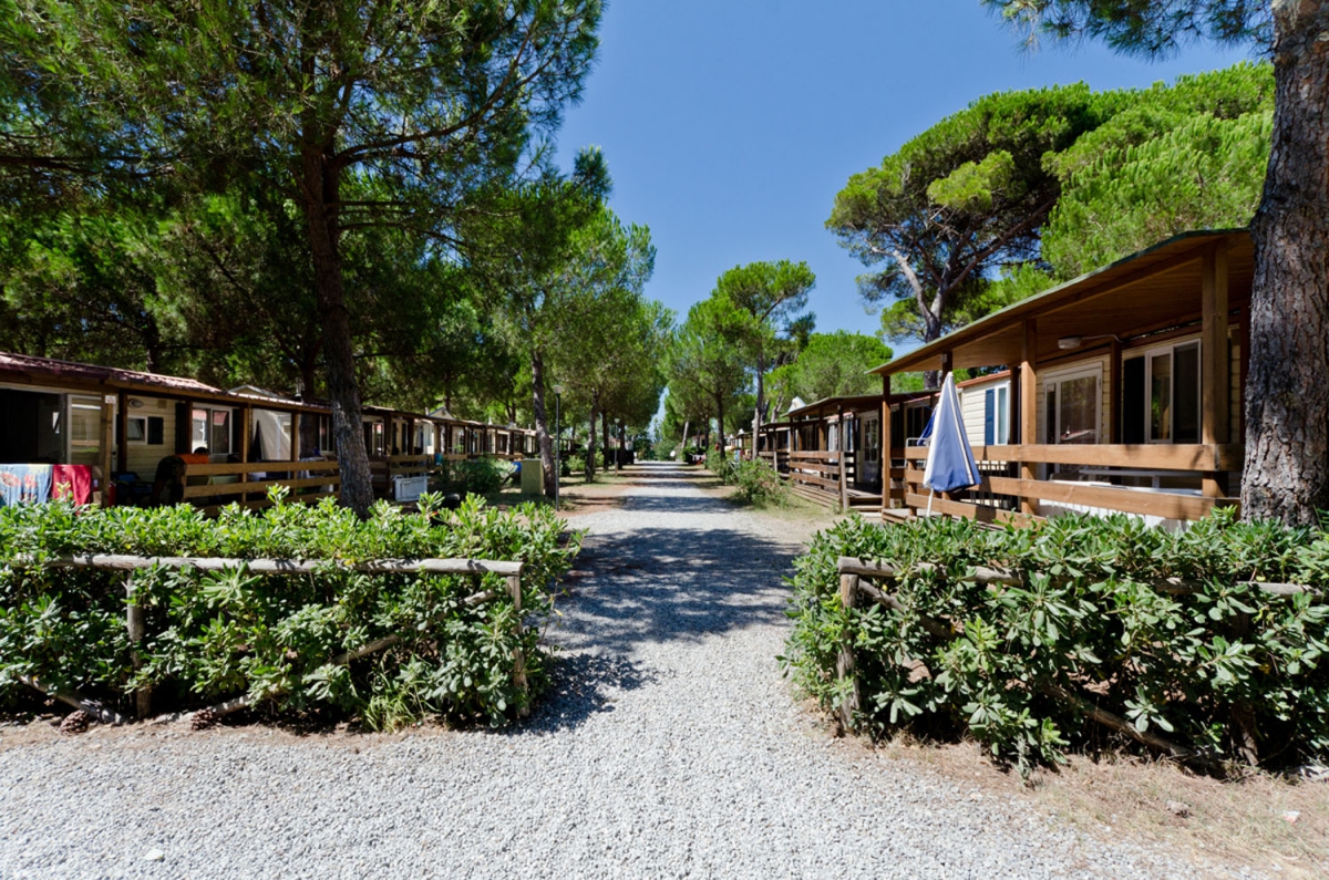 Europing Latium - Tarquinia visuel 4/12