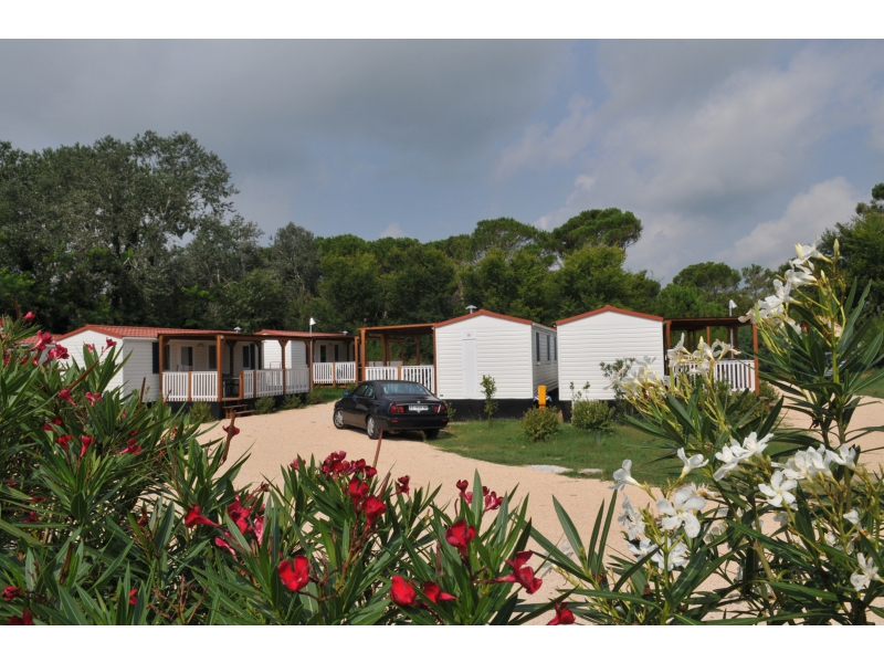 Falconera Venetien - Caorle visuel 5/10