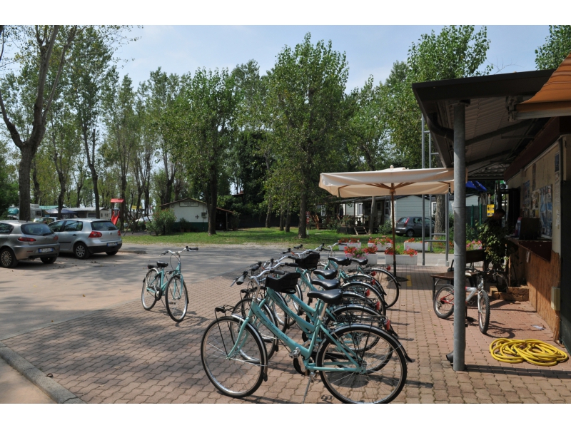 Falconera Venetien - Caorle visuel 8/10