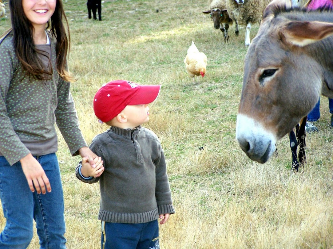 Ferme de Prunay Großes Zentrum - Seillac visuel 7/11 Ferme de Prunay Großes Zentrum - Seillac visuel 7/11