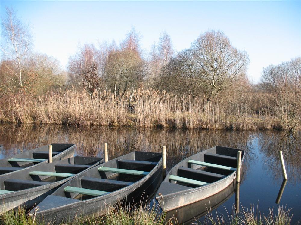 Fleur de Brière Das Loire-Gebiet - Saint-Lyphard visuel 9/9