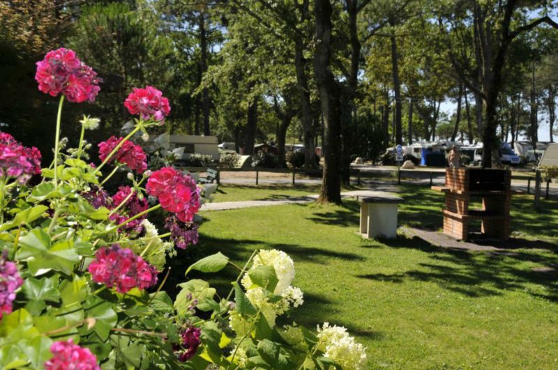 Fontaine Vieille Aquitanien - Andernos-les-Bains visuel 2/4