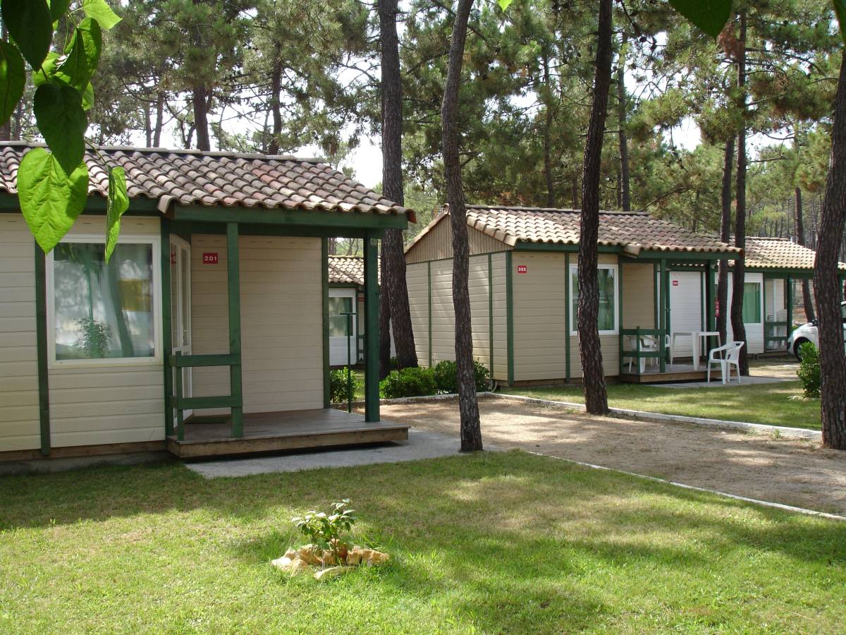 Gala Centro - Figueira da Foz visuel 4/7