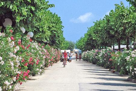 Gemma Schritte - Fermo visuel 2/11