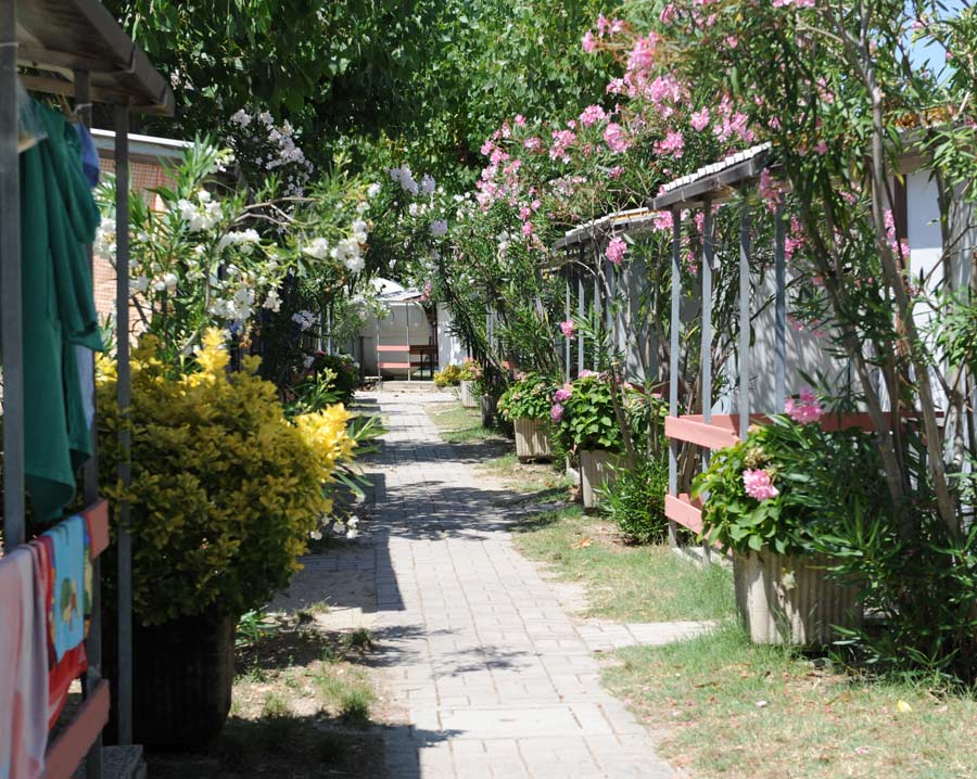 Gemma Schritte - Fermo visuel 8/11