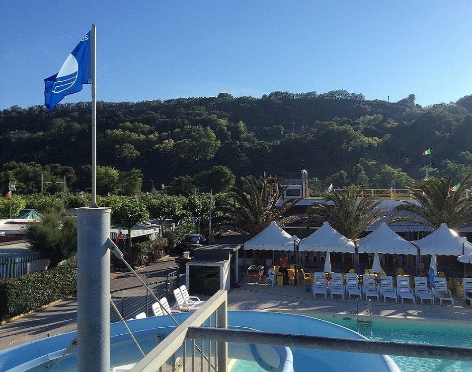 Girasole Schritte - Fermo visuel 4/8