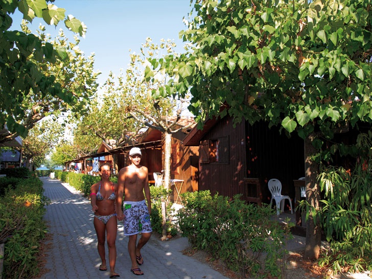 Girasole Schritte - Fermo visuel 5/8